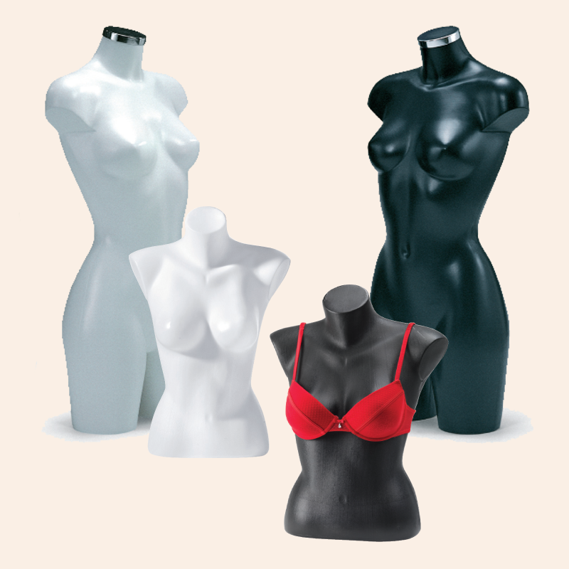 Dame torso