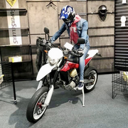 Liðaður herra-mannekin