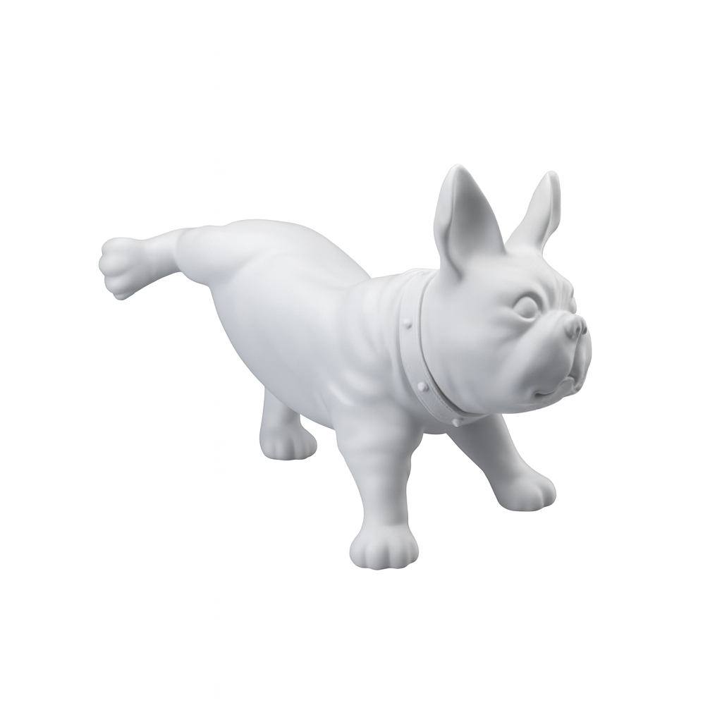 Fransk bulldog, Luis - Hvítur. Hundamannekin