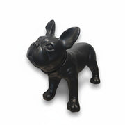 Hundagína - Franskur bulldog, Liva. Svört.