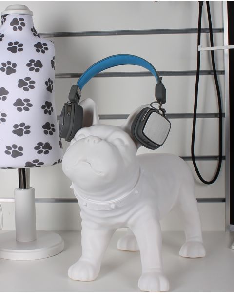 Hundagína - Liva, french bulldog - Hvít