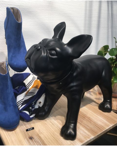 Hundagína - Liva, french bulldog - Svört