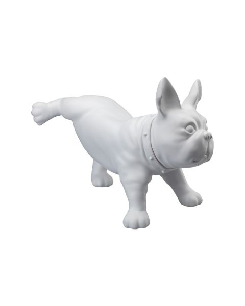 Hundagína - Luis, french bulldog - Hvít