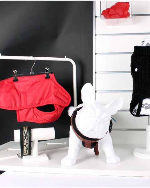 Hundagína - Luis, french bulldog - Hvít