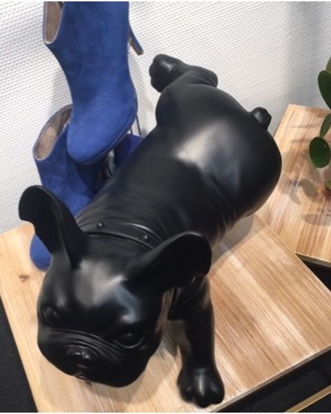 Hundagína - Luis, french bulldog - Svört