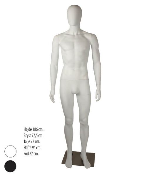 Herragína með beinum örmum, höfuð án andlitsdrátta, hæð 186 cm.
