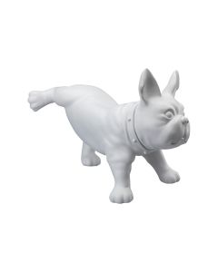 Fransk bulldog, Luis - Hvid. Hundemannequin